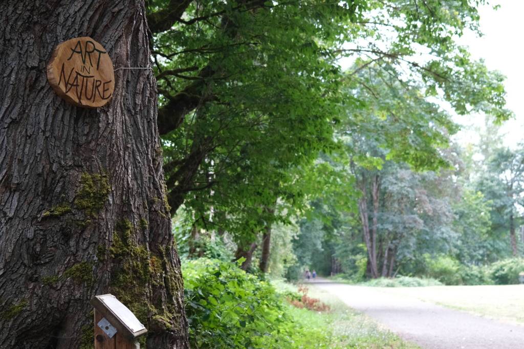 Grace Gorenflo/Valley Record
A cedar round hanging on a maple tree marks the beginning of the Art in Nature trail walk on the Snoqualmie Valley Trail in Carnation, Aug. 18, 2025.