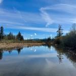 Flood waters make W. Snoqualmie River Road NE near The Blue Heron Golf Course impassable, March 25, 2025. Many secondary roads closed last flood season, despite no main road closures. (Grace Gorenflo/Valley Record)