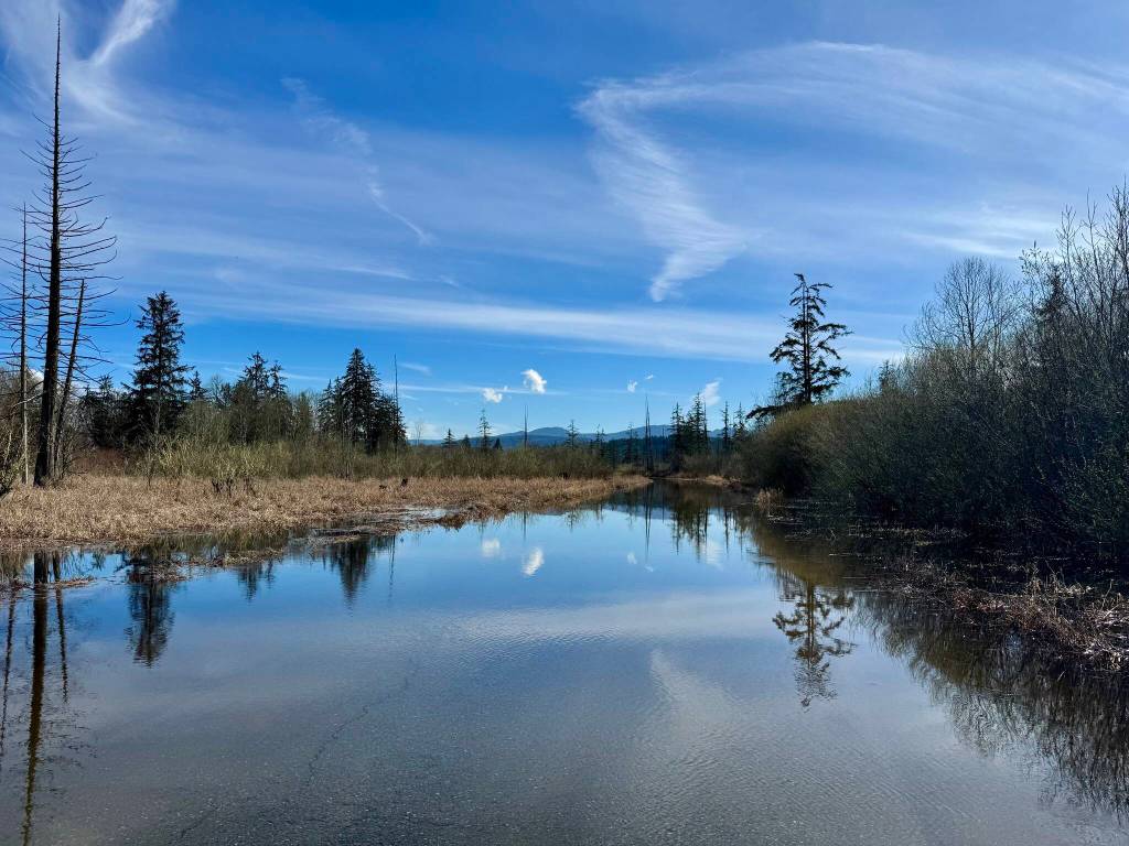 Flood waters make W. Snoqualmie River Road NE near The Blue Heron Golf Course impassable, March 25, 2025. Many secondary roads closed last flood season, despite no main road closures. (Grace Gorenflo/Valley Record)