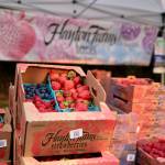 Hayton Farms of Mount Vernon sells its fresh berries at the Duvall Farmers Market, Sept. 4, 2025. Grace Gorenflo / Valley Record