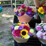 Flowers are for sale from Flower Day Farm at the Duvall Farmers Market, Aug. 21, 2025. (Grace Gorenflo/Valley Record)