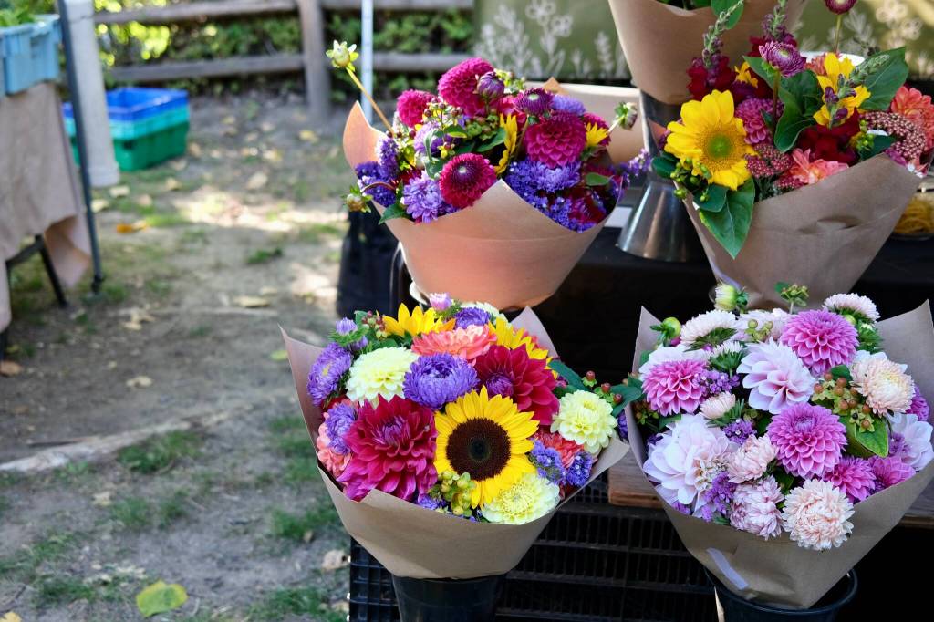 Flowers are for sale from Flower Day Farm at the Duvall Farmers Market, Aug. 21, 2025. (Grace Gorenflo/Valley Record)