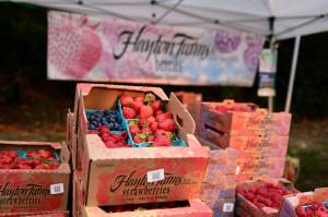 Hayton Farms of Mount Vernon sells its fresh berries at the Duvall Farmers Market, Sept. 4, 2025. (Grace Gorenflo/Valley Record)