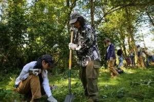 Photo courtesy of Mountains to Sound Greenway