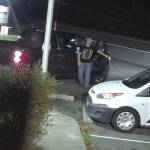 Security footage images courtesy of Pacific Crest Environmental.