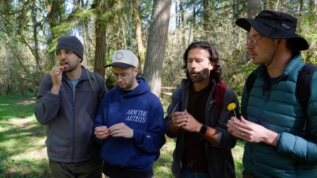 The Try Guys try herb-robert, known as a noxious weed in Washington, while learning what plants are safe for eating. Image courtesy of The Try Guys via YouTube