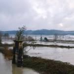 Snoqualmie River water flows onto the Muddy Boots Pumpkins farm property in Duvall, Dec. 10. 2025. (Grace Gorenflo/Valley Record)