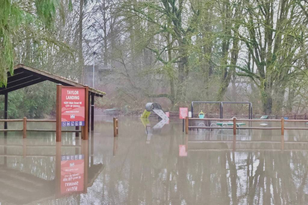 Taylor Landing, the site of the Duvall Farmers Market, is under water, Dec. 12, 2025. (Grace Gorenflo/Valley Record)