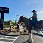James Lathrop sits atop Adarria the Clydesdale at the ribbon cutting of the Carnation Cafe horse hitch post, June 5, 2025. (Grace Gorenflo/Valley Record)