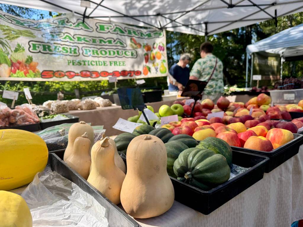 Ayala Farms from Prosser near Yakima sells produce at the Duvall Farmers Market, May 1, 2025. (Grace Gorenflo/Valley Record)