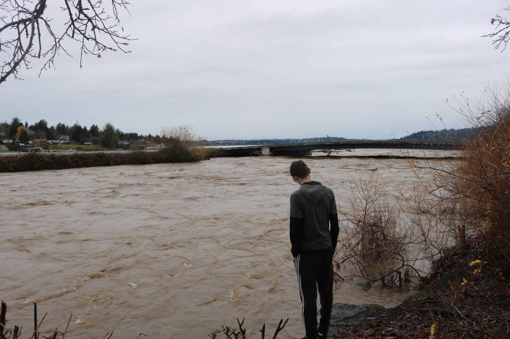 The flooded Cedar River flowing into Lake Washington. Photo by Bailey Jo Josie/Sound Publishing