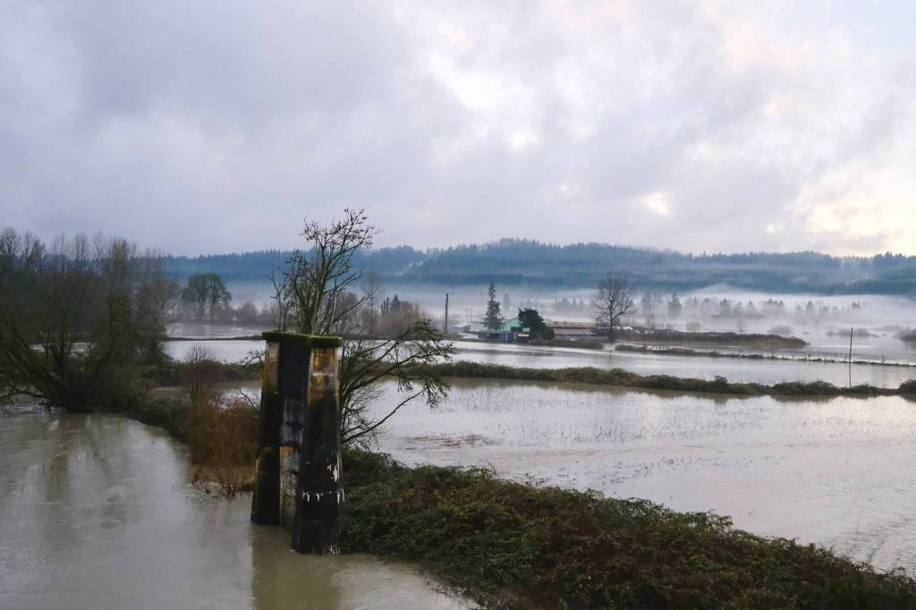 Snoqualmie River water flows onto the Muddy Boots Pumpkins farm property in Duvall, Dec. 10. 2025. (Grace Gorenflo/Valley Record)