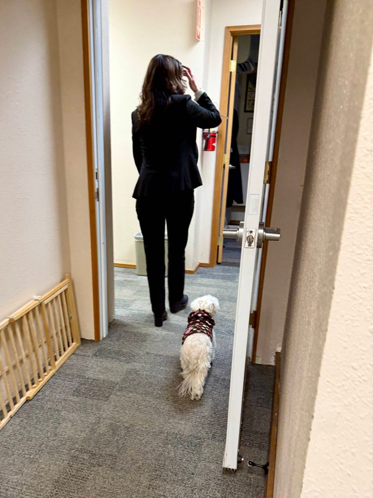 Photos by Grace Gorenflo/Valley Record 
Lulu follows her owner, Rhonda Ender, around Carnation City Hall, Jan. 22, 2025.
