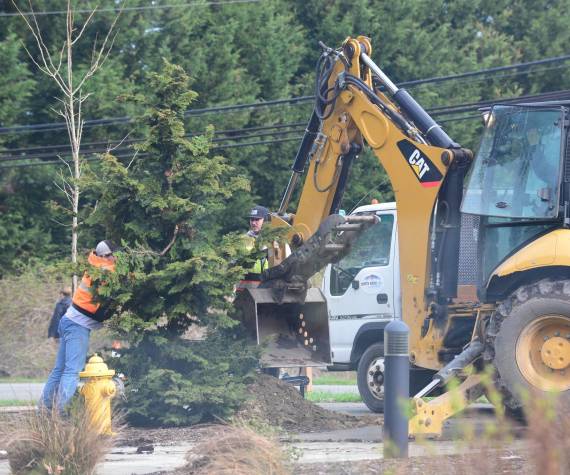 <p>North Bend Public Works out in the field. Photo courtesy of the city of North Bend</p>