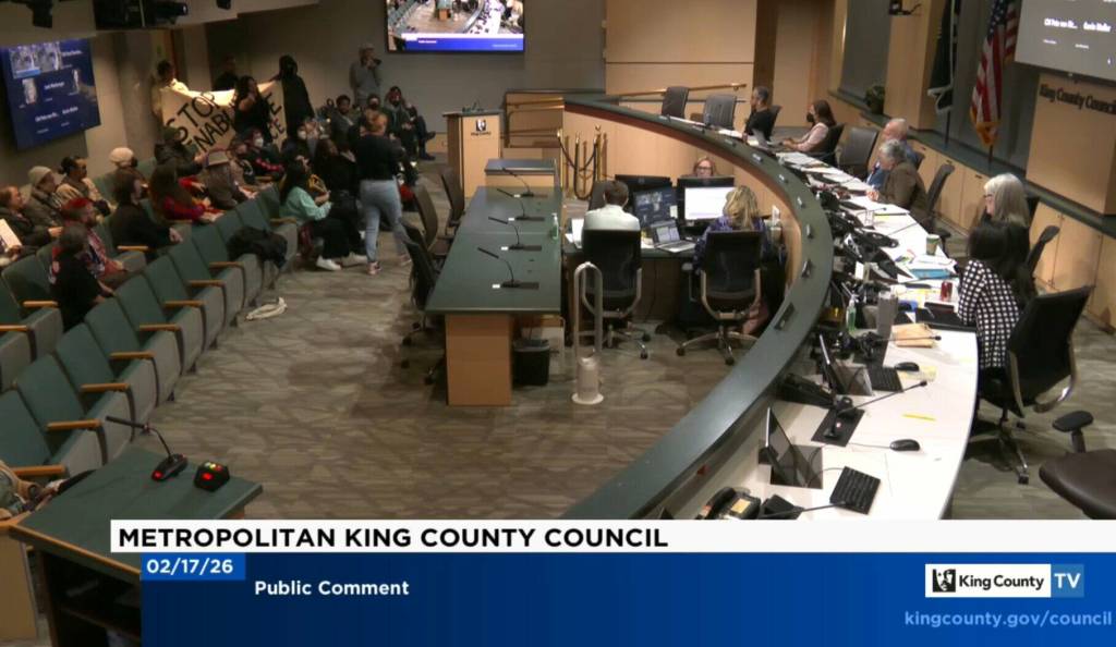 Scene from the Feb. 17 meeting of the King County Council. Screenshot