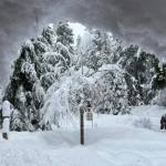 Driftwood Acres in Ronald, WA. Photo courtesy of Peggy Lynch