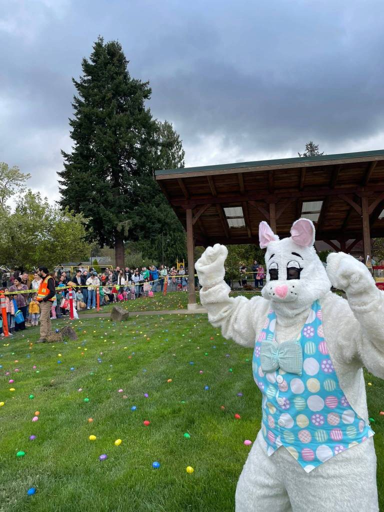 Courtesy photo / City of Carnation
A scene from the 2025 Carnation Easter Egg Hunt. This years event is at 10 a.m. March 28 at Tolt Commons.