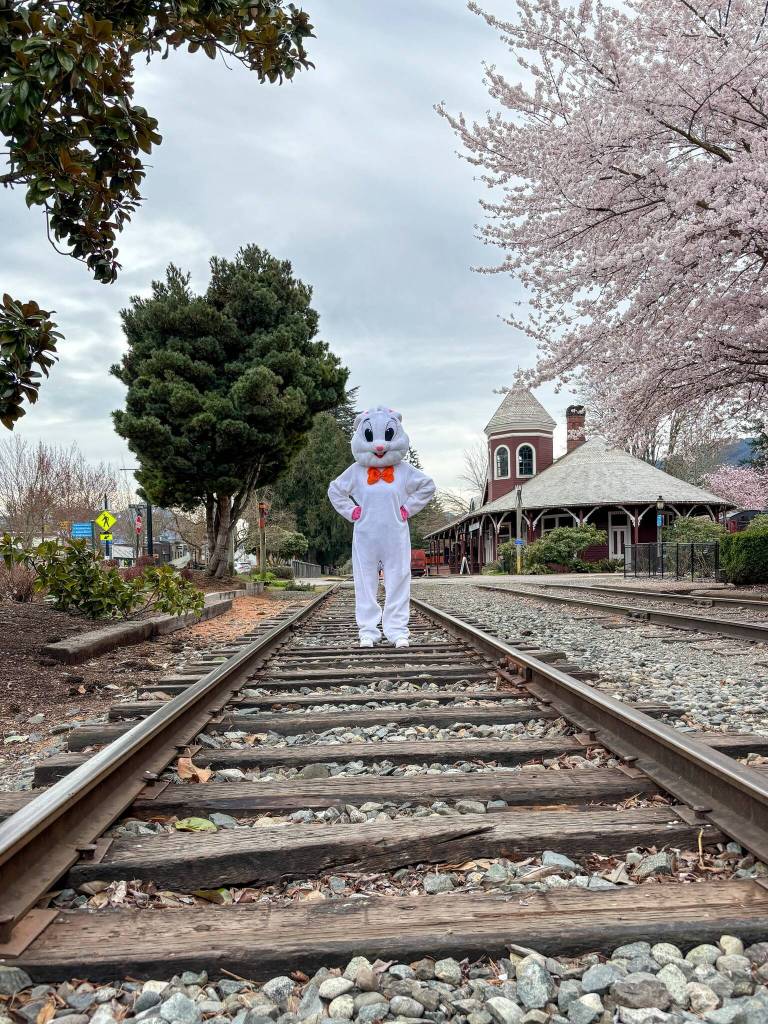 Photo courtesy of the city of Snoqualmie
The city of Snoqualmies Easter Bunny hopped around downtown Snoqualmie the first week of April, visiting the sights and local businesses.