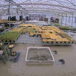 Photo courtesy of Oxbow Farm & Conservation Center
Oxbows native plant nursery during December 2025 flooding.