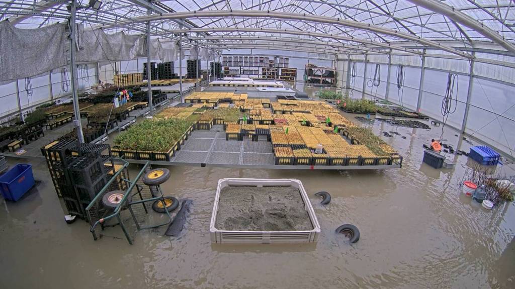Photo courtesy of Oxbow Farm & Conservation Center
Oxbows native plant nursery during December 2025 flooding.