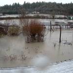 Photo courtesy of Oxbow Farm & Conservation Center
The Oxbow kids farm, as seen from a security camera, during December 2025 flooding.