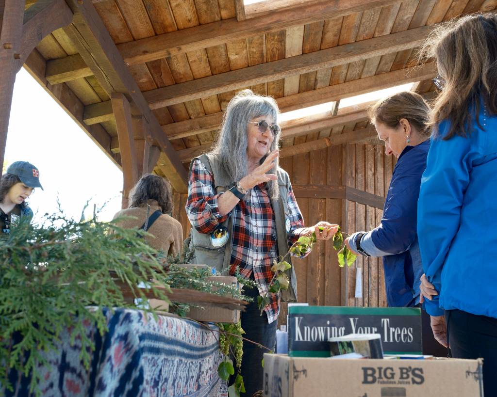 Environmental educator Janna Treisman of Fall City shares native tree samples and woodland wisdom with visitors. The event featured nature presentations and acoustic musicians alongside vendor, educator, and community booths.