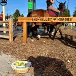 A basket of green apples greets horses at the ribbon cutting of the Carnation Cafe horse hitch post, June 5, 2025. Grace Gorenflo/Valley Record