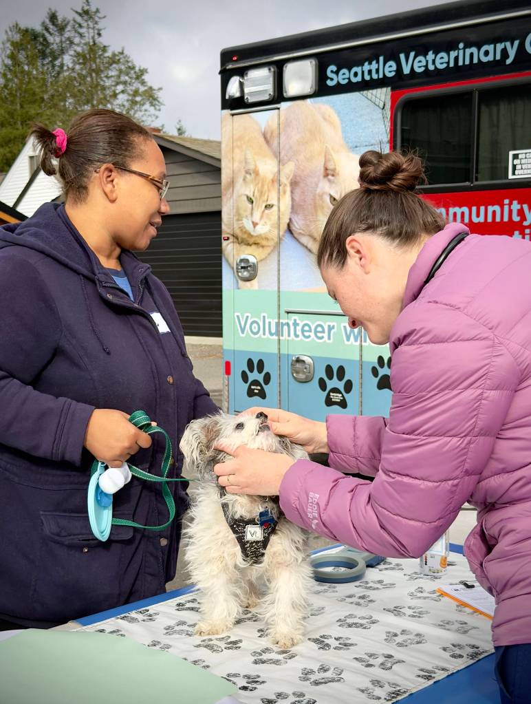 A SVO staff member examines a one-eyed dog at a VAP-sponsored mobile veterinary clinic. Photo courtesy of Kelly Swedick