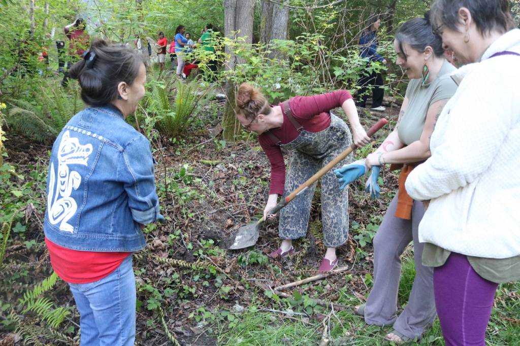 Community members also planted roses near the Daybreak Star building and the site of the new womens sweat lodge. Photo by Bailey Jo Josie/Sound Publishing.
