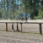 Photo courtesy of Kelly Coughlin Games
Equestrians and their horses put on a show at the Friends of Fall City Arena open house, May 3, 2026.