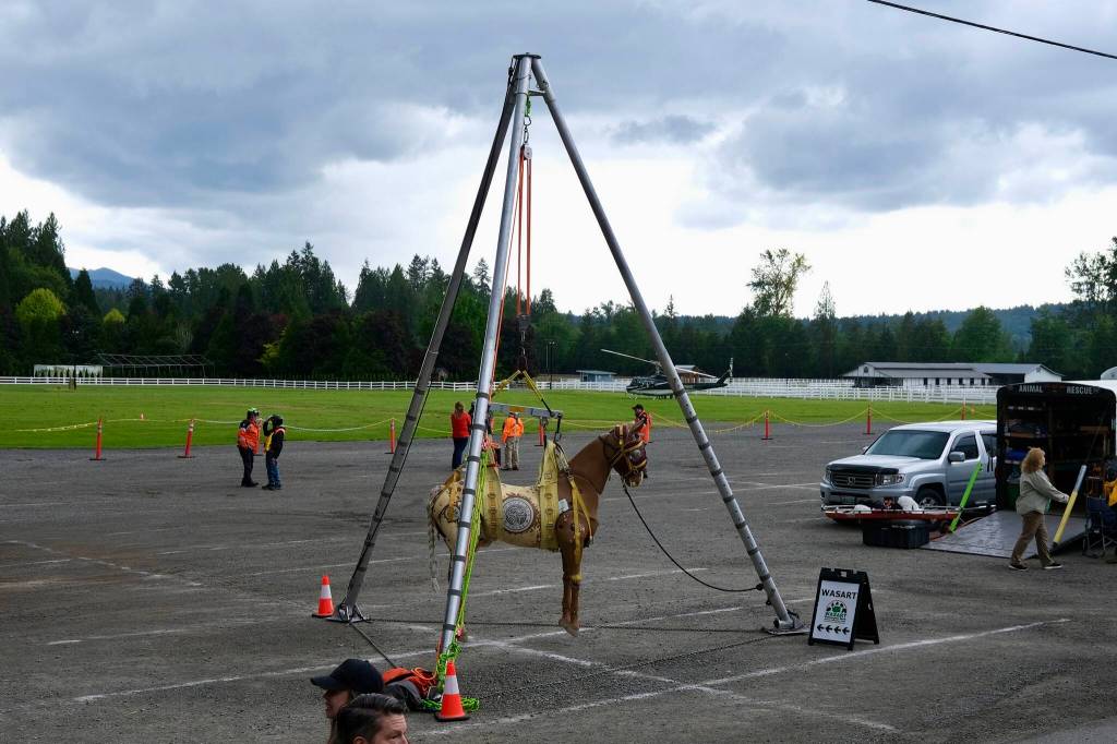 Grace Gorenflo / Valley Record
A fake horse is on display to demonstrate the airlift capabilities of the Washington State Animal Response Team at SARposium, May 14, 2026.