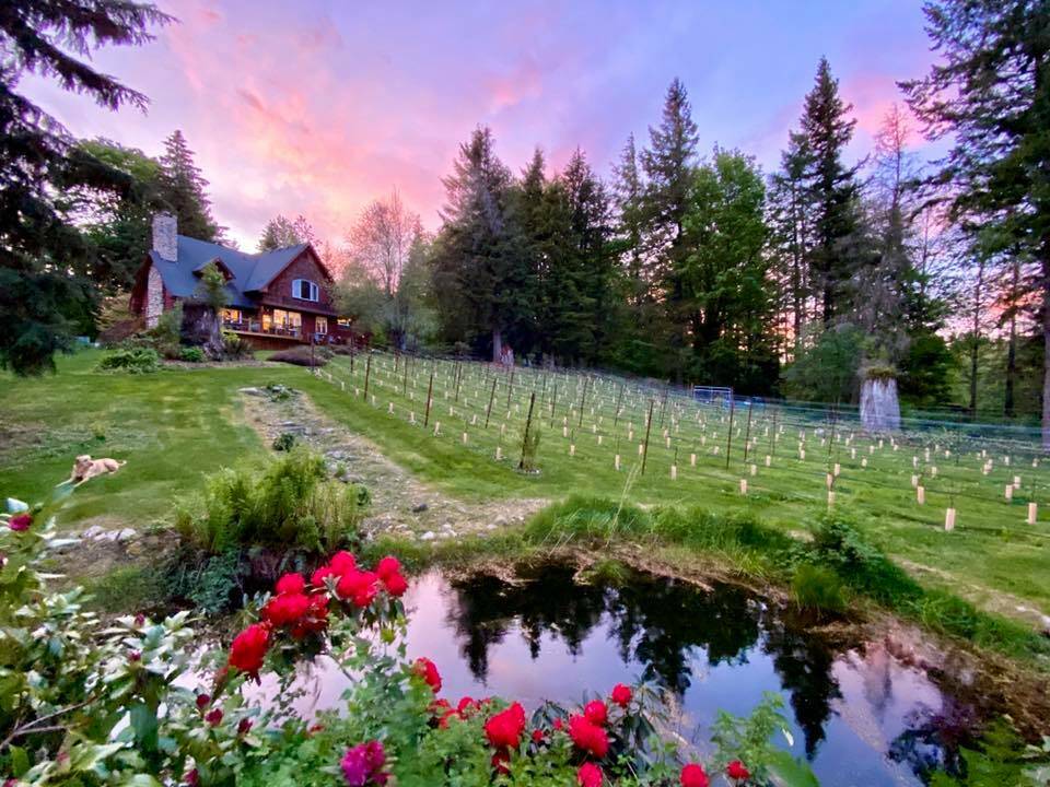 Wine boss: Cheers to Washington states amazing wine industry