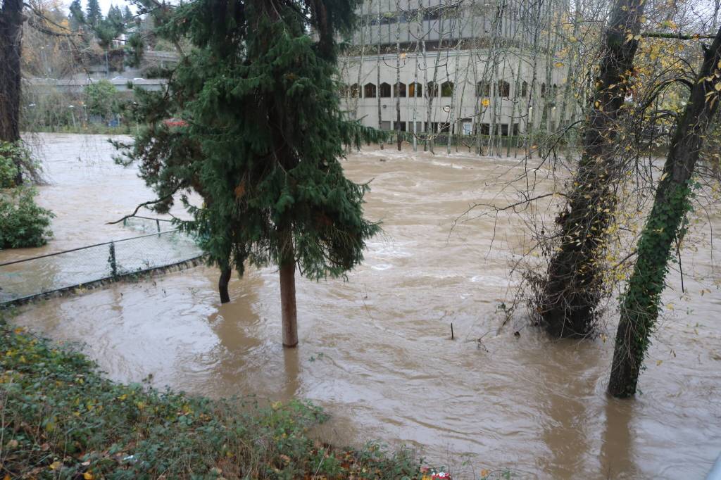 The Cedar River at the Renton Library on Thursday morning, Dec. 11, 2025. Photo by Bailey Jo Josie/Sound Publishing.
