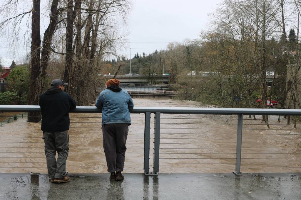 Onlookers observe high flood levels outside Renton Library, December 2025. Photo by Bailey Jo Josie/Sound Publishing.