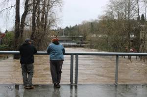 Onlookers observe high flood levels outside Renton Library, December 2025. Photo by Bailey Jo Josie/Sound Publishing.