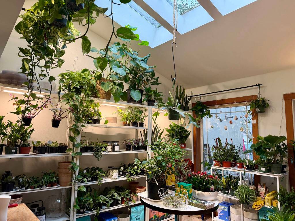 Plants for sale at Whit & Co. in downtown Snoqualmie.