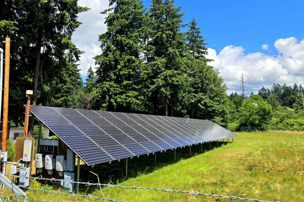 Solar panels in Federal Way. Photo by Keelin Everly-Lang / the Mirror.