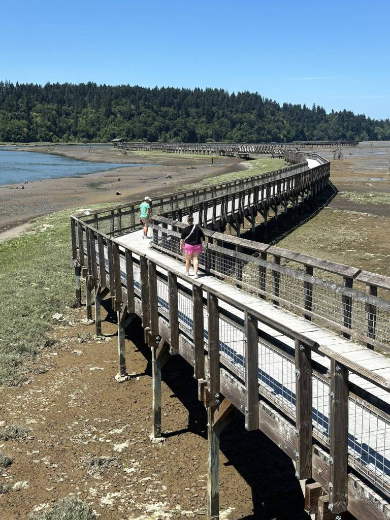 The Estuary Boardwalk stretches over a mile of mudflats. Photo by Kevin Hanson