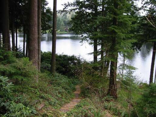 Lake Marcel. Photo courtesy of King County