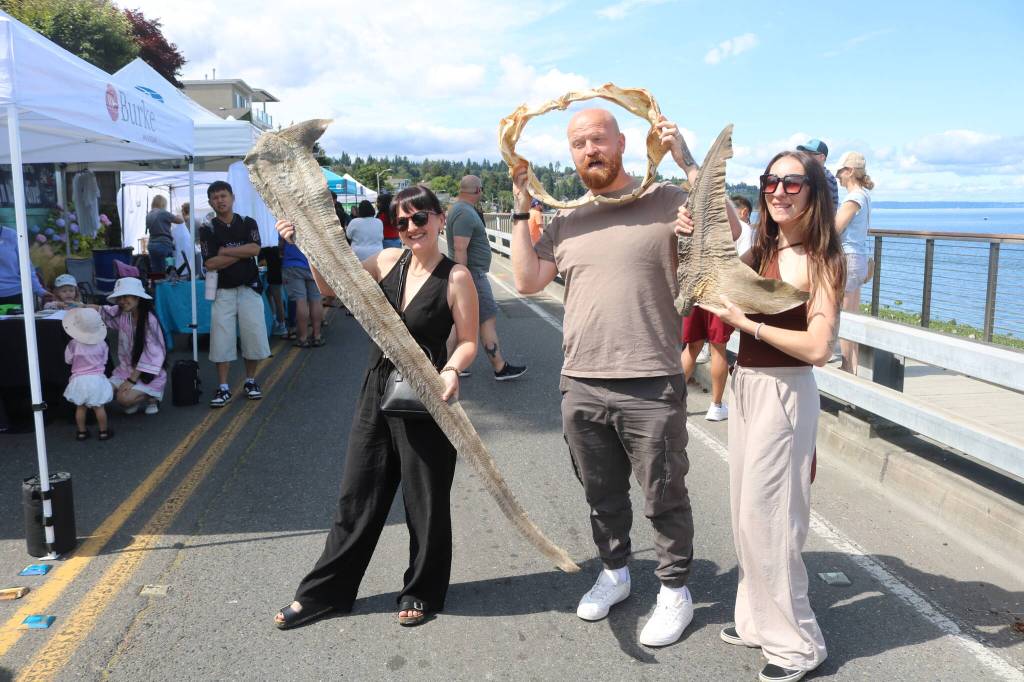 Guests got to hold fins and jaws of thresher and sixgill sharks. Photo by Bailey Jo Josie/Sound Publishing.