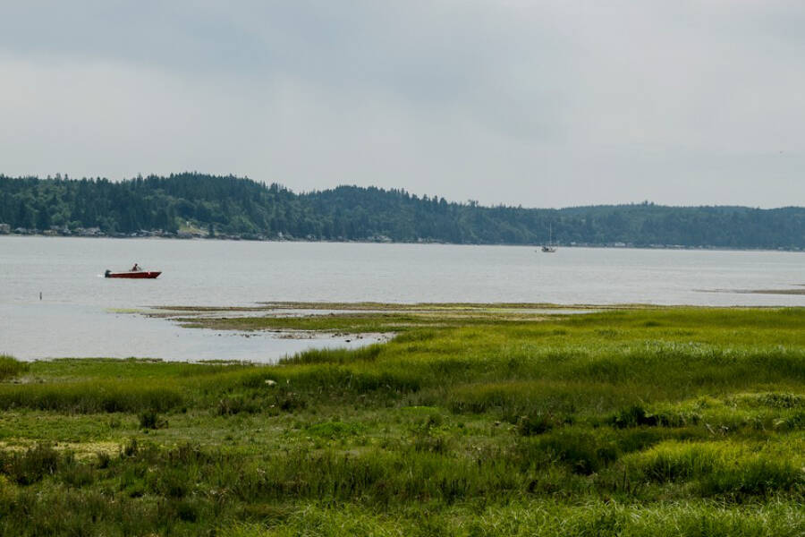 Belfare State Parks scenic shoreline. Photo courtesy Washington State Parks and Recreation