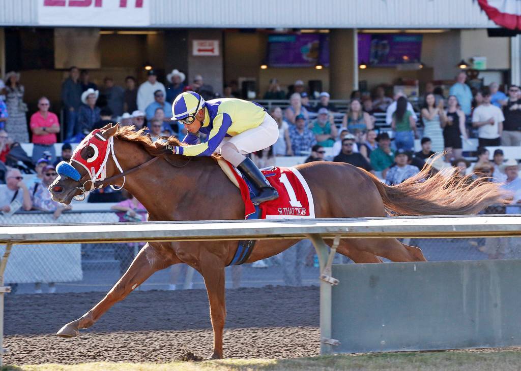 Silvio Amador rides Si That Tiger at Emerald Downs. COURTESY PHOTO, Vince Bruun/ Emerald Downs