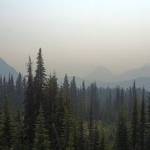 View from an air quality webcam at Mount Rainier National Park, taken at 4:30 p.m. on Aug. 4, 2026. (Courtesy of AirNow.gov)