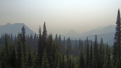View from an air quality webcam at Mount Rainier National Park, taken at 4:30 p.m. on Aug. 4, 2026. (Courtesy of AirNow.gov)